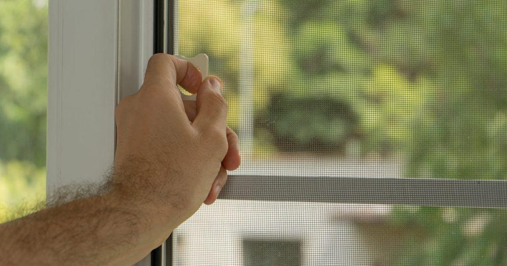 Why use Window Fly Screens as an Additional Layer of Protection