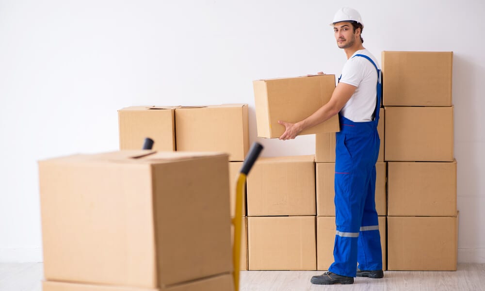 Everything You Need to Know About Professional Boxes Australia
