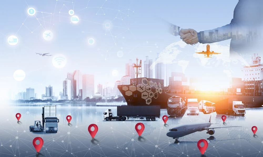 Making Sense of Supply Chain Network Systems